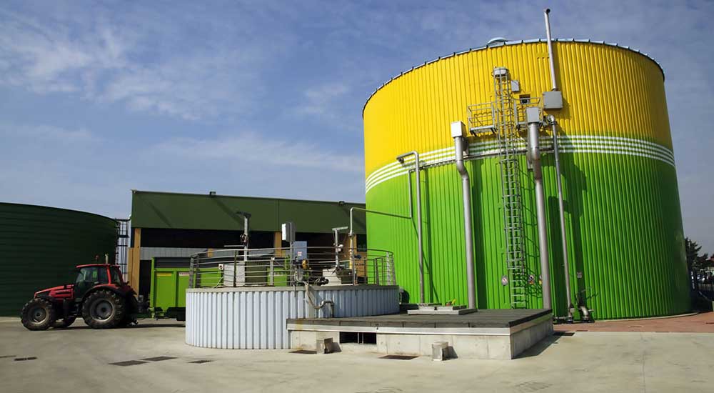 Scopri come investire nell'Energia verde con le Biomasse....